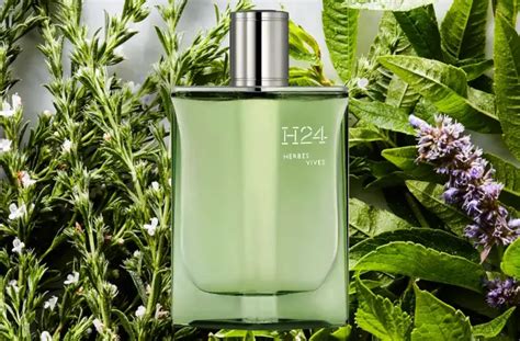hermes h24 herbes vives edp